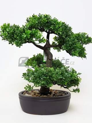 Bon sai nhựa 00